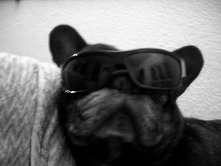 cOchON Vaaaa!
